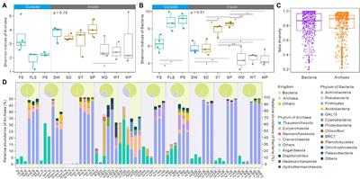 Archaea and their interactions with bacteria in a karst ecosystem